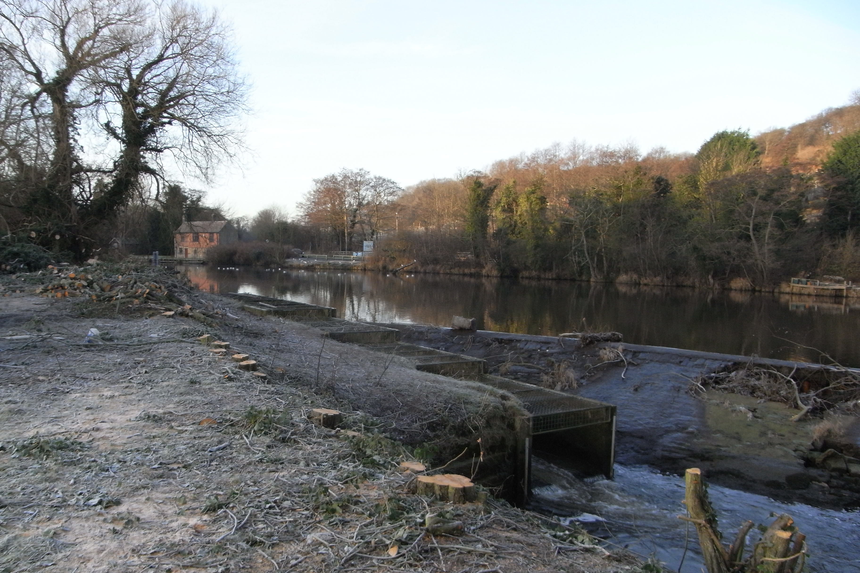 Ruswarp_Jan_2012